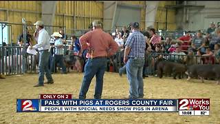 Pals with Pigs at Rogers County Fair