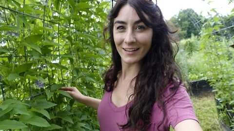 Oh my Garden!!! Growing Food with a Purpose