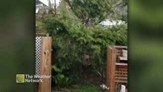 Windy hail storm strikes a backyard in B.C.