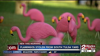 Flamingos stolen from south Tulsa yard