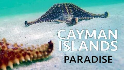 Cayman Islands: Paradise I Epoch Cinema