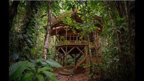 My Treehouse in Costa Rica