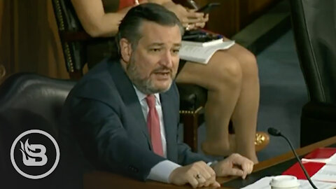 Ted Cruz OBLITERATES Push for Gun Control After Boulder Shooting