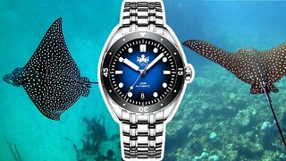 Phoibos Eagle Ray 300M Dive Watch - Specs That Put Its Rivals To Shame