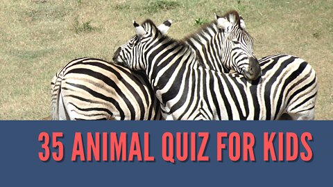 Animals Quiz For Kids