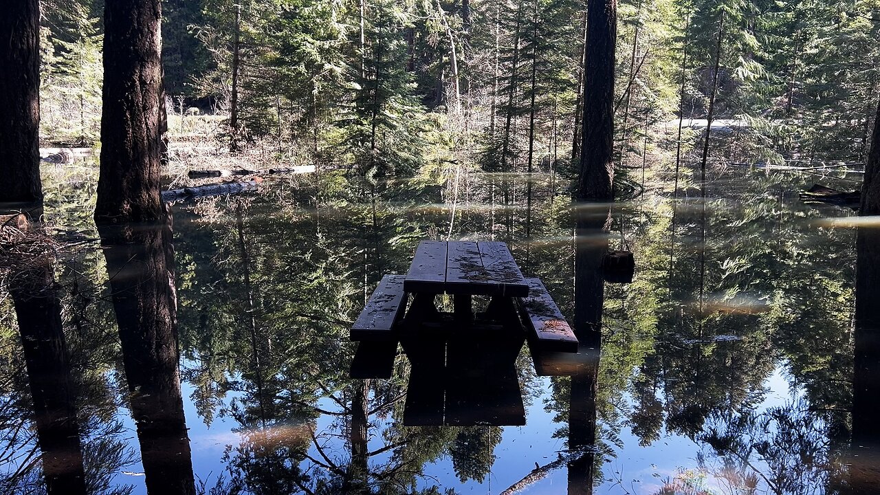 Bear Springs Campground is Currently FLOODED! (May 8th, 2024) | Mount ...