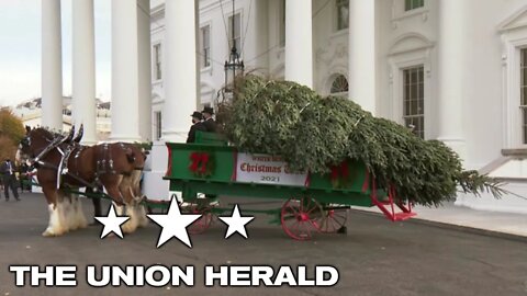 First Lady Jill Biden Receives the 2021 White House Christmas Tree