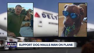 Delta Airlines reviewing procedures after emotional support dog bites passenger