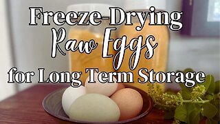 Freeze Drying Raw Eggs for Long Term Storage