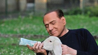 Silvio Berlusconi lanzó una campaña en apoyo al movimiento de los Derechos Animales