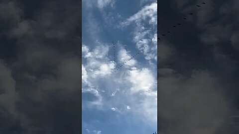 Geese flying in a perfect V formation