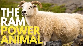 The Ram Power Animal
