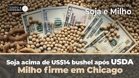 Soja acima de US$14 bushel após USDA . Milho firme em Chicago