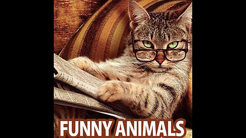 Fur-tastic Funnies: Cat and Dog Comedy Extravaganza!"