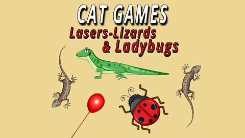 CAT GAMES: Lasers | Lizards & Lady Bugs