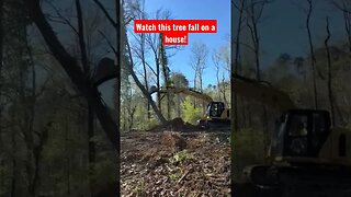 Tree removal gone wrong! #construction #trees #excavator