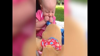 You won't Believe how this Baby Girl Responds to her Stuffed Animal