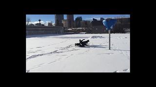 "A Dog Runs into A Woman and Knocks Her Down in Snow"