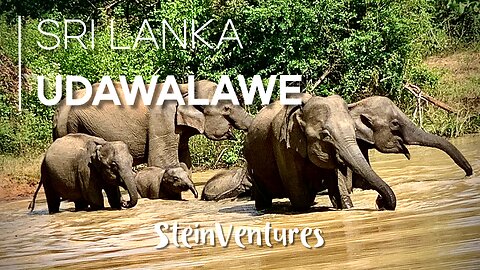 Sri Lanka Episode 4: Udawalawe