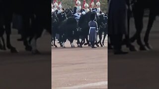 THE ROYALS IN CARRIAGES AND THE HOUSEHOLD CAVALRY #buckinghampalace