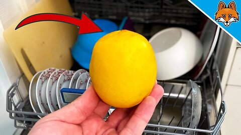Put a Lemon in your Dishwasher and WATCH WHAT HAPPENS 💥
