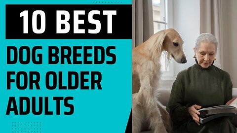 10 Best Breeds for Older Adults.