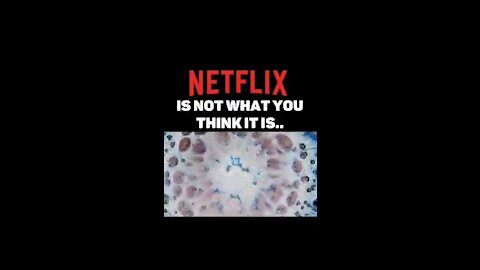 The truth about Netflix