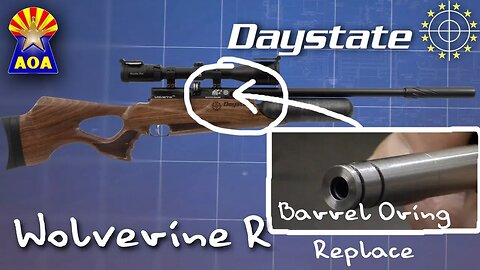 Daystate Wolverine 2 Regulated Breech Seal - Service & Repair