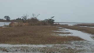 Assateague State Park