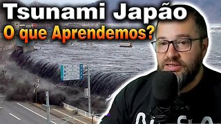 Tsumani do Japão - Retrospectiva