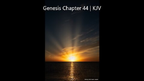 Genesis 44 | KJV