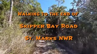 Walking to the end of Skipper Bay Rd - St Marks NWR near Panacea, FL