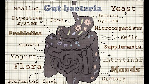 Very Well: Healthy Gut Bacteria