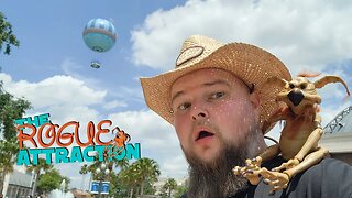 Live At Disney Springs | Let's See Whats New | Chicken Guy Too