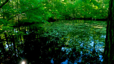 Pond Quest ~ Finding Another Abandoned Pond in the Hoosier National Forest