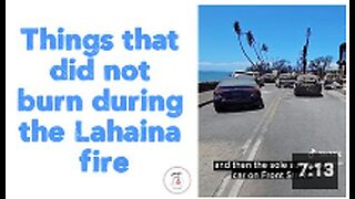 Things that did not burn during the Lahaina fire