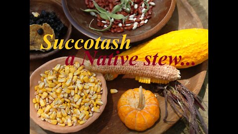 Succotash, A Native stew...