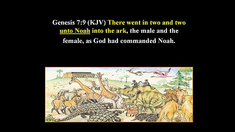 Dinosaurs on The Ark? Part#8