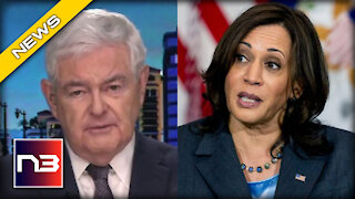 Newt Gingrich SLAMS Kamala Harris - Issues Her a BRUTAL Reality Check