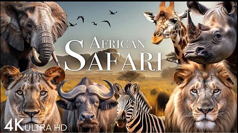African Safari 4K - Amazing Wildlife of African Savanna _ Scenic Relaxation Film (1)