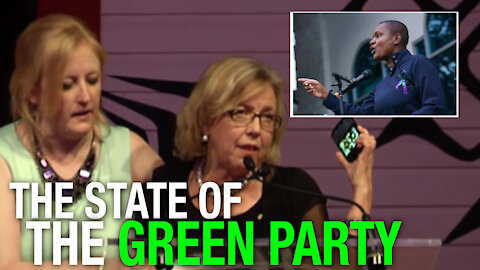 Green Party suffering from identity crisis over new leader's beliefs