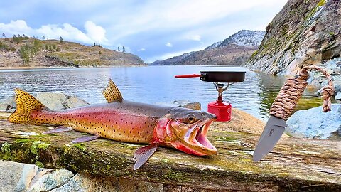 BIG Trout Catch & Cook!!! SOLO Fishing a SECRET COVE!