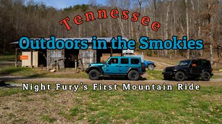 Outdoors in the Smokies, March 2022