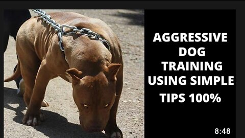How to train dog to become #aggressive#