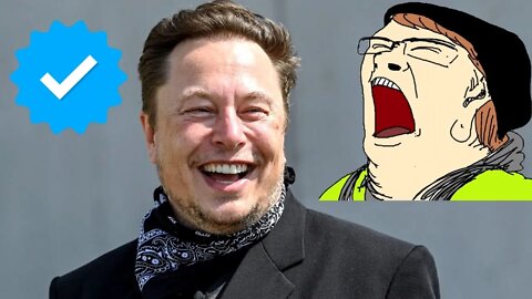 Wrath of the Blue Checkmarks - Twitter Makes No Sense Financially - Can Elon Musk Save Twitter?