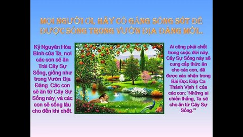 HÃY CHUẨN BỊ TÂM HỒN ĐỂ GẶP CHÚA GIÊSU TRONG CUỘC SOI SÁNG LƯƠNG TÂM ĐÃ GẦN KỀ! Các TĐ JL. P247