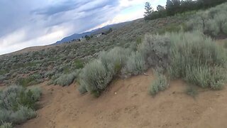 hiking in the desert around reno Nevada part 5