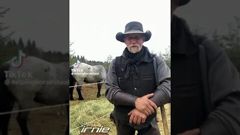 REAL CDN COWBOY Fu*kers Commenting on my As*less Chaps!