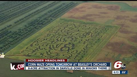 Minons-themed corn maze opens at Beasley's Orchard