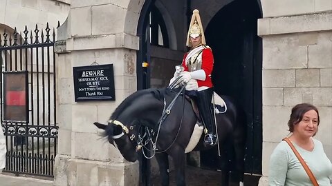 kings guards tells him to stop touching the bit #horseguardsparade